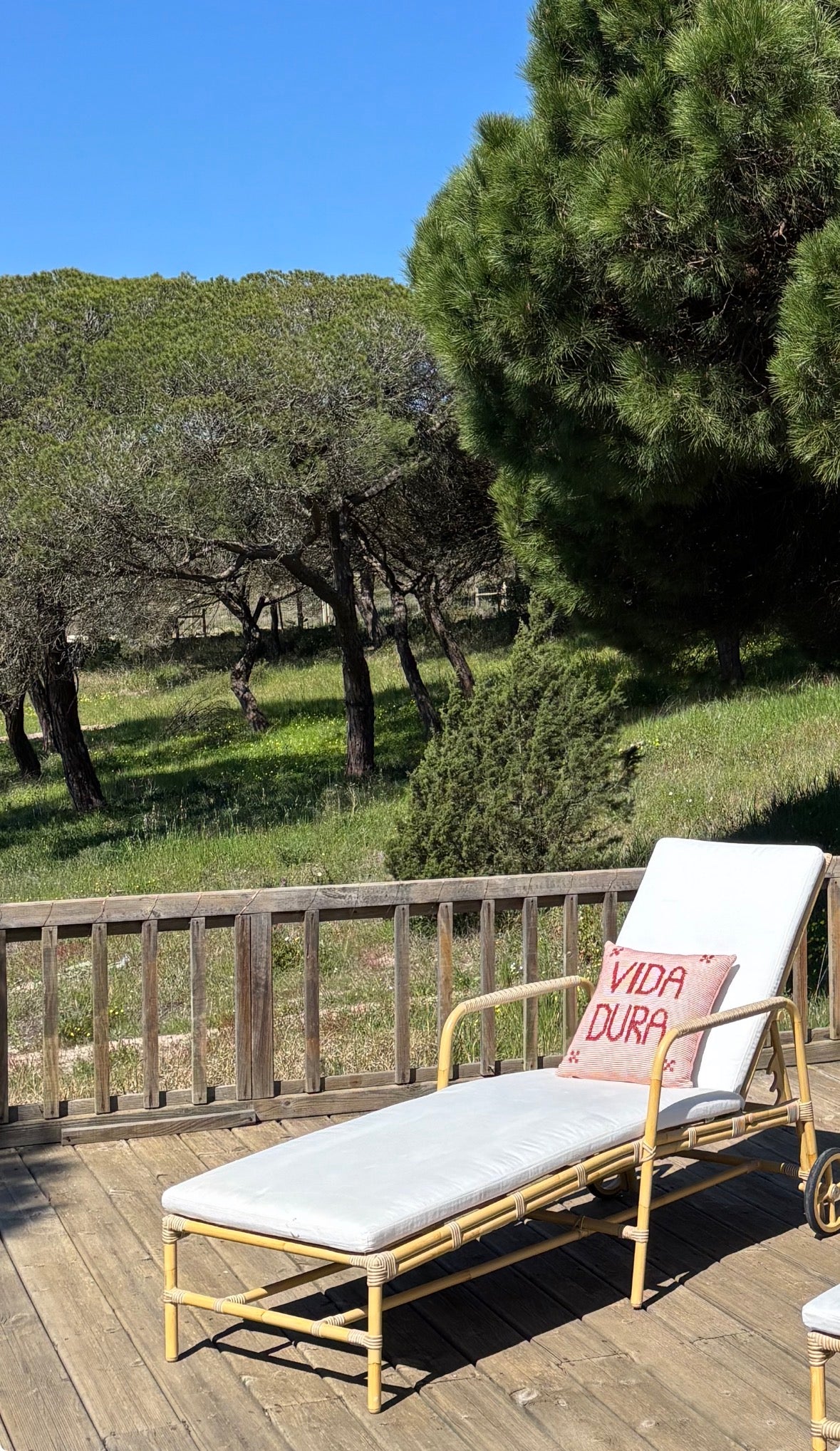 Vida Dura Red | Pillow