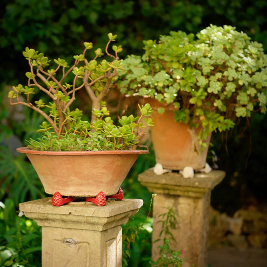 Pinha | Suporte para vasos & Porta-Talheres 4un